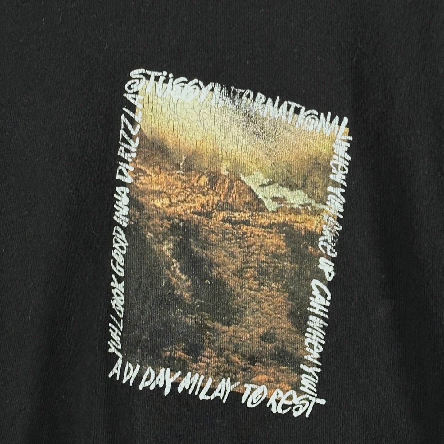 Stussy International Black Photo Text Longsleeve
