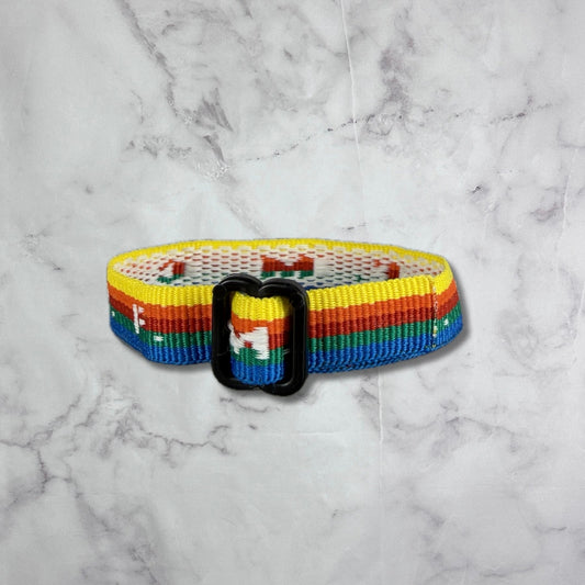 Cactus Plant Flea Market Cult I.D. Rainbow Bracelet