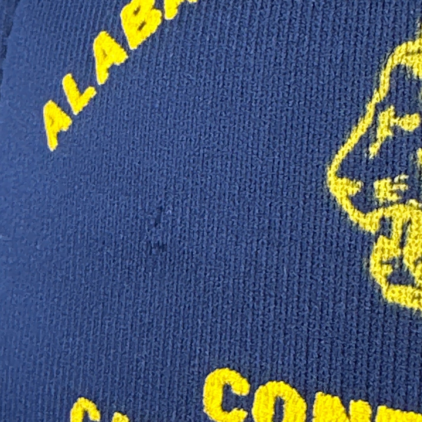 Vintage 1986 Alabama Lions Navy SnapBack Hat