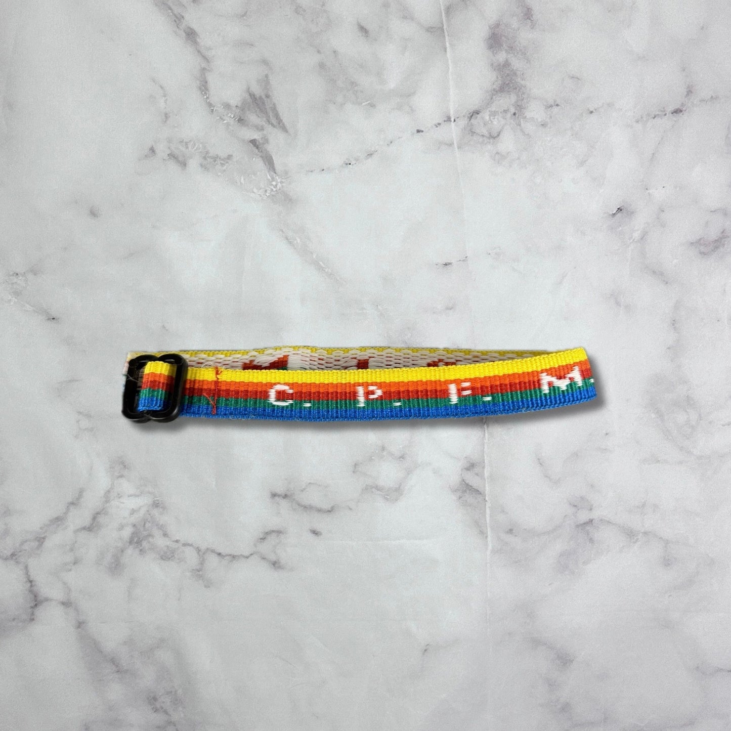 Cactus Plant Flea Market Cult I.D. Rainbow Bracelet