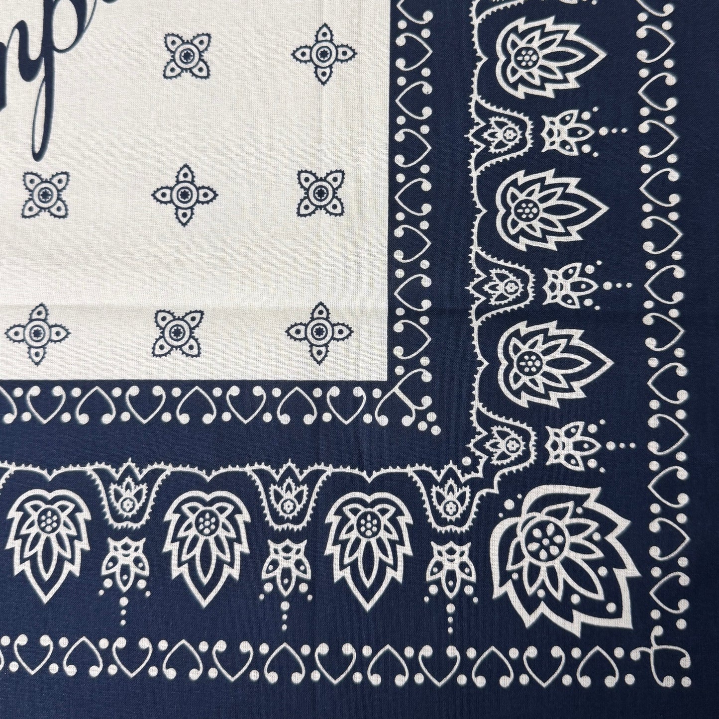 RRL Indigo Paisley Bandana