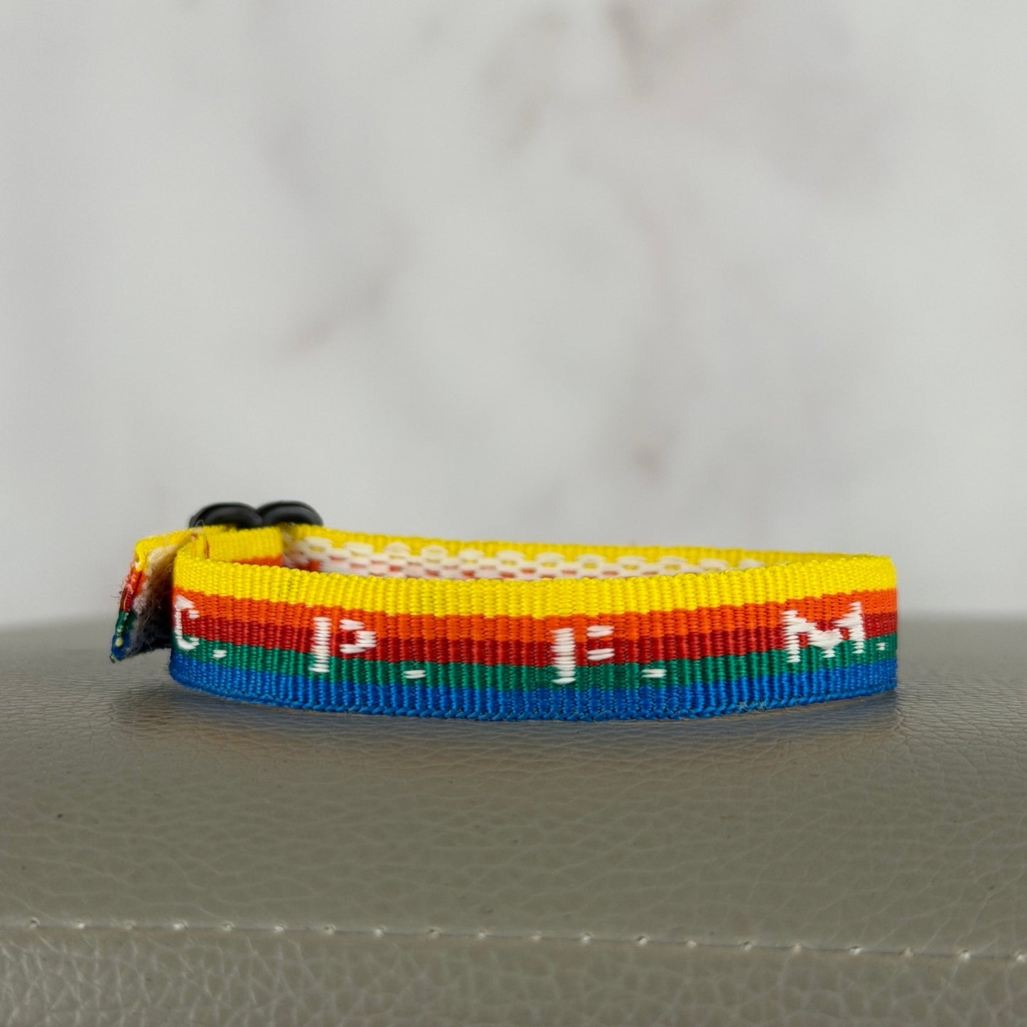 Cactus Plant Flea Market Cult I.D. Rainbow Bracelet
